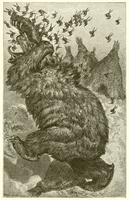 Ayı ve Arı Kovanları by Ernest Henry Griset