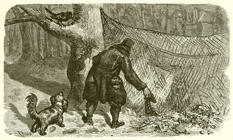 The Fowler and the Blackbird  by Ernest Henry Griset