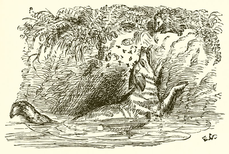 Tilki ve Kirpi by Ernest Henry Griset