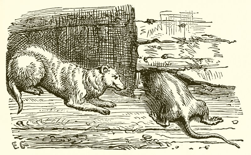 Icyitegererezo kuri David Copperfield turki by Ernest Henry Griset