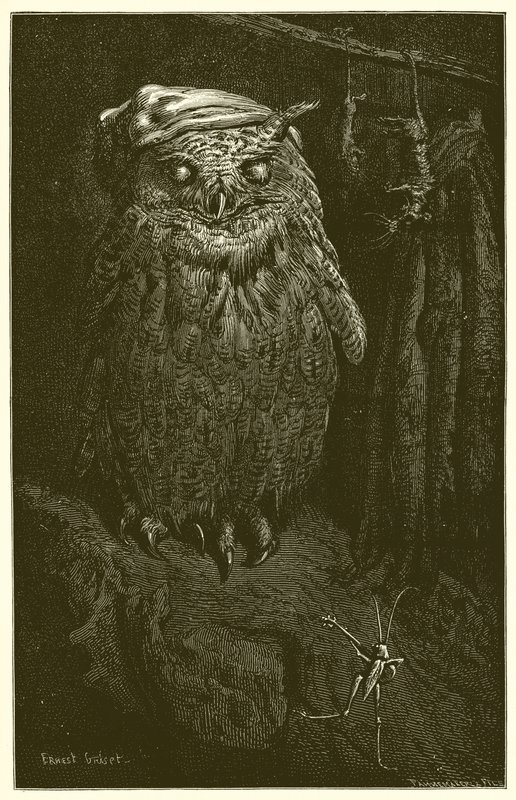 Baykuş ve Çekirge by Ernest Henry Griset