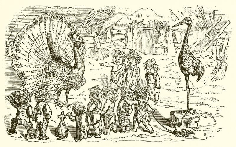 Hare na Tortoise byongeye kugaruka, Hare iyobora ki by Ernest Henry Griset