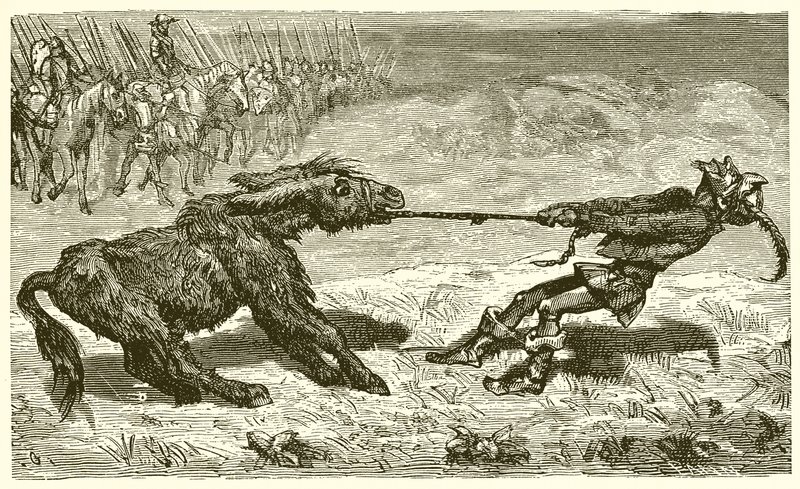 mantıklı eşek by Ernest Henry Griset