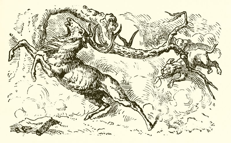 Havuza bakan geyik by Ernest Henry Griset