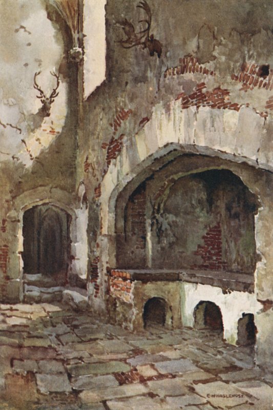 Wolsey