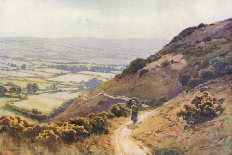 Ballard Down, Swanage (renk üyeleri) by Ernest William Haslehust