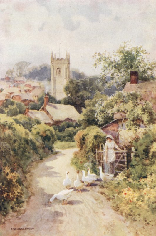 Bere Regis (renkli taş) by Ernest William Haslehust
