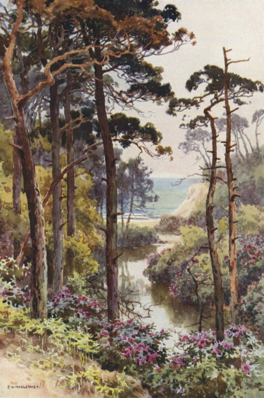 Branksome Chine, Bournemouth (renkli taş) by Ernest William Haslehust