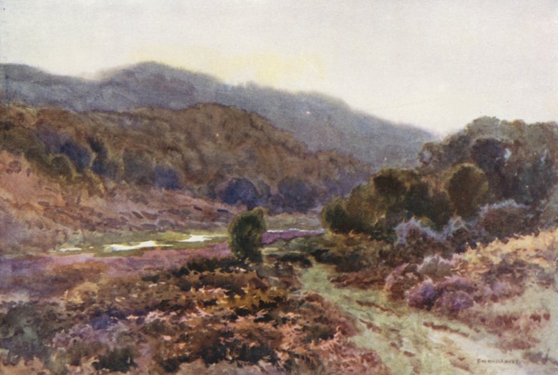 Broomy Water ile (renkli lito) by Ernest William Haslehust