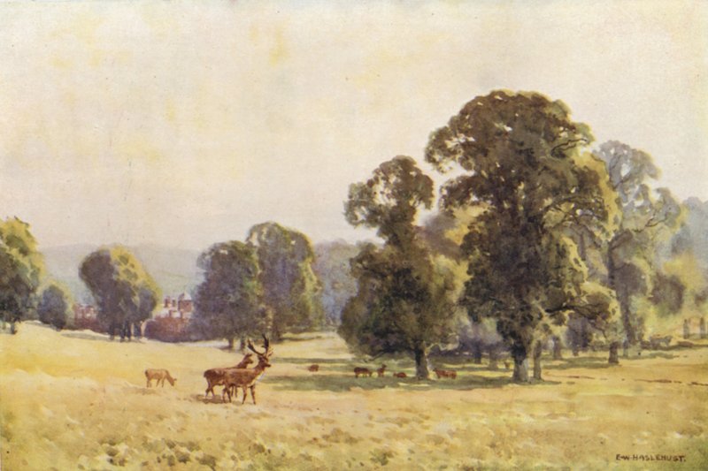 Cobham Park (renkli taş) by Ernest William Haslehust
