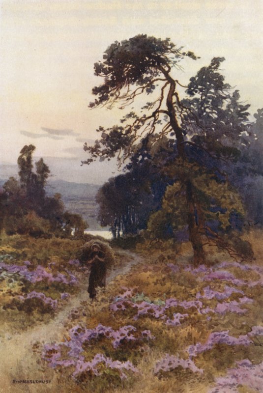Harlow Moor, Harrogate (renkli taş) by Ernest William Haslehust