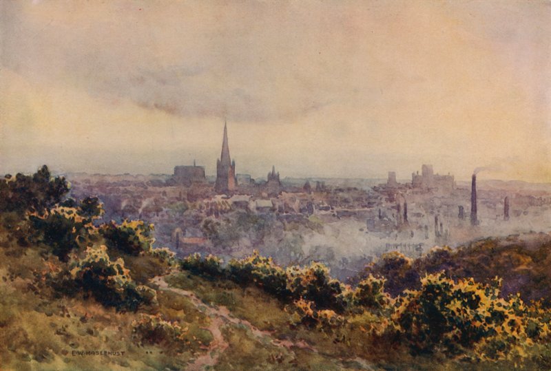 Mousehold Heath