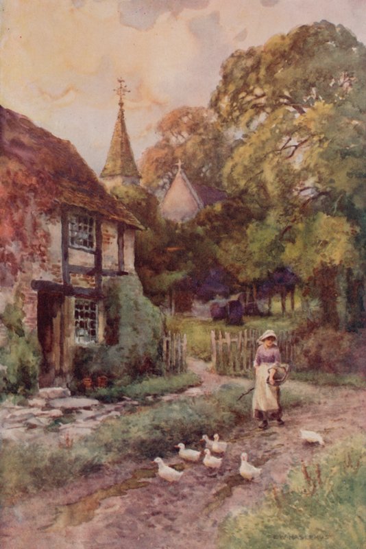 "Papist Wixford" (renkli taş) by Ernest William Haslehust