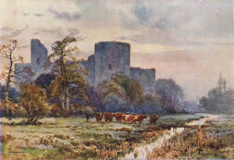 Meadows