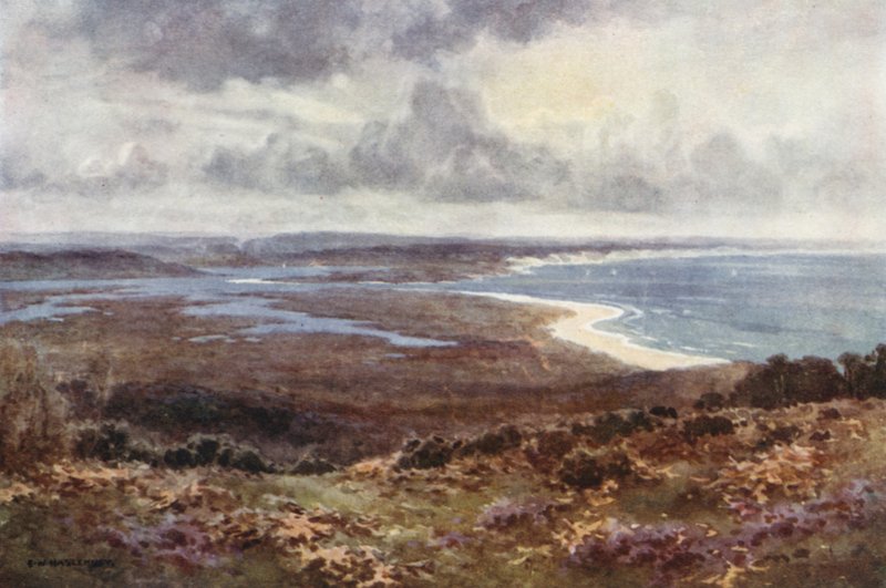 Studland