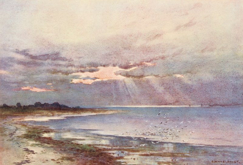  by Ernest William Haslehust