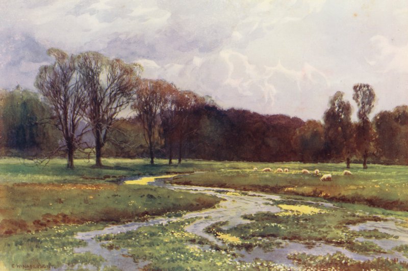  by Ernest William Haslehust