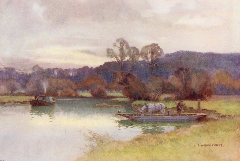 Thames Nehri: Nuneham Ormanı