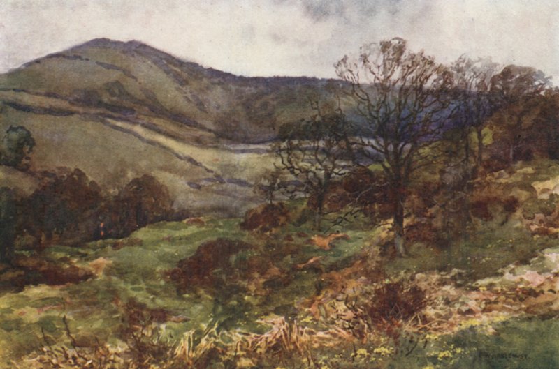 Shanklin Down, Erken İlkbahar (renkli taş) by Ernest William Haslehust