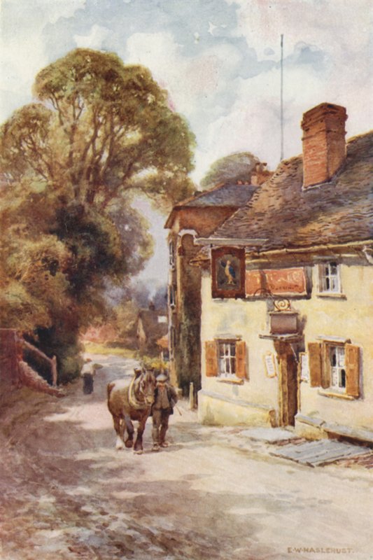 Deri Şişe, Cobham (renkli taş) by Ernest William Haslehust