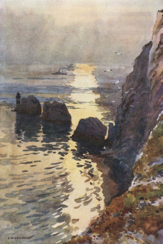 İğneler (renkli taş) by Ernest William Haslehust