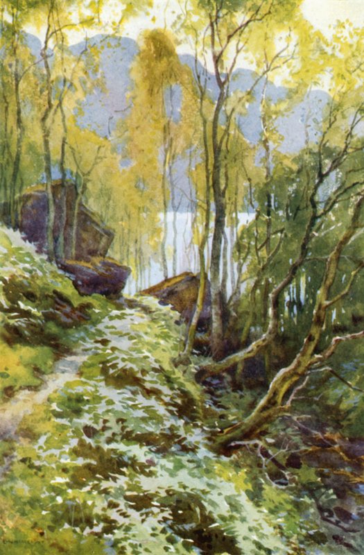 Eski Geçiş, Trossachs (renkli taş) by Ernest William Haslehust