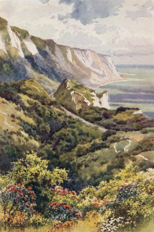 Warren, Folkestone (renkli taş) by Ernest William Haslehust