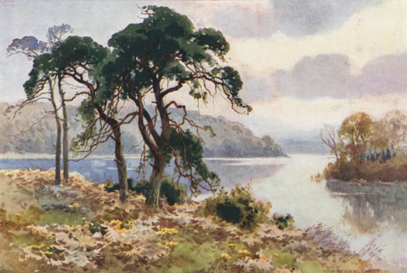 Virginia Suyu (renkli taş) by Ernest William Haslehust