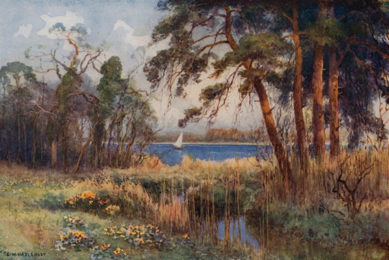 Wroxham Broad, Erken İlkbahar (renkli taş) by Ernest William Haslehust