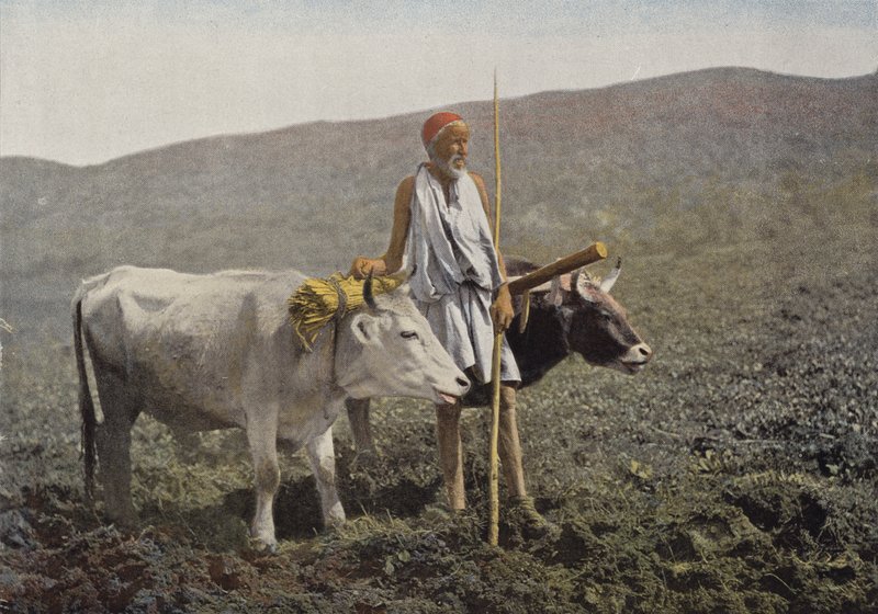 Kabile takımı by European Photographer