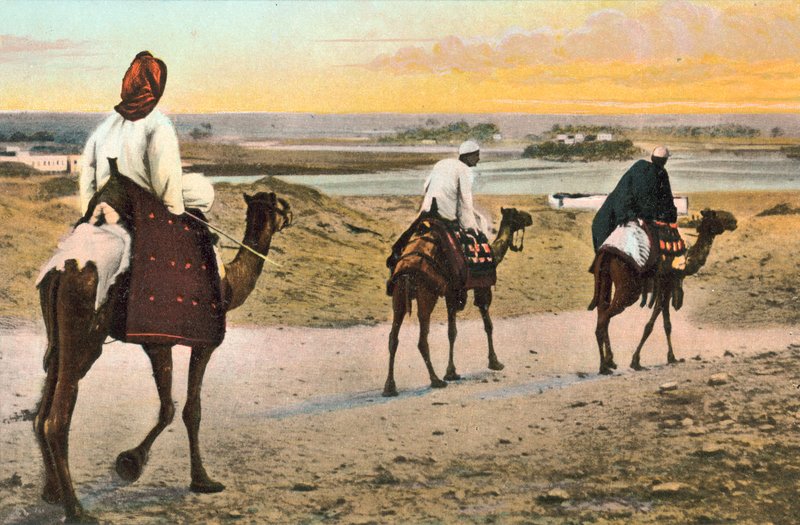 Develer, Kuzey Afrika by European Photographer