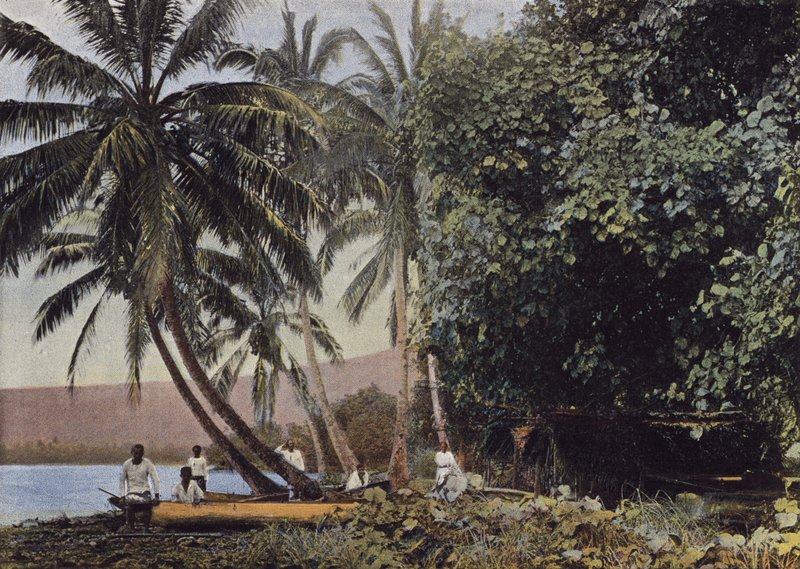 Cote De Mataiea by European Photographer