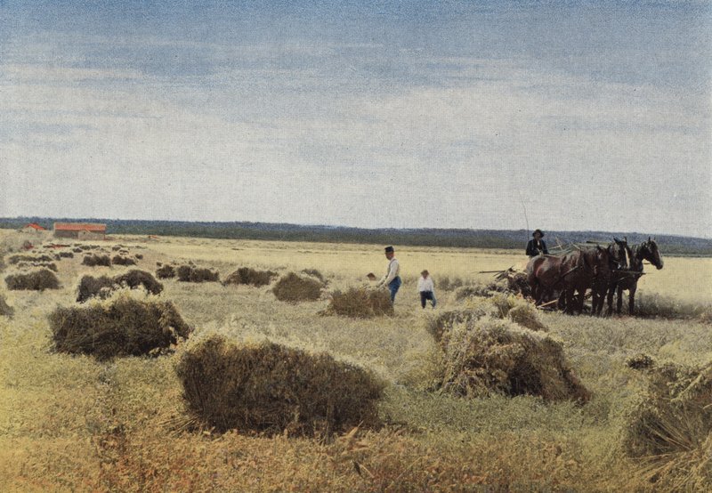 Manitoba