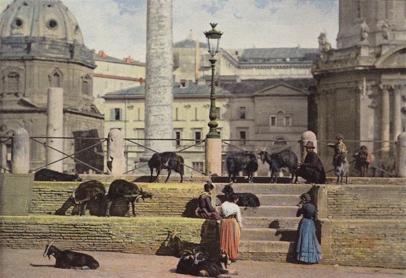 Roma, Trajan Forumunda Keçiler by European Photographer