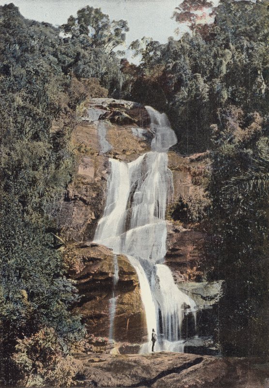 Tijuca, Minyon Çağlayan by European Photographer
