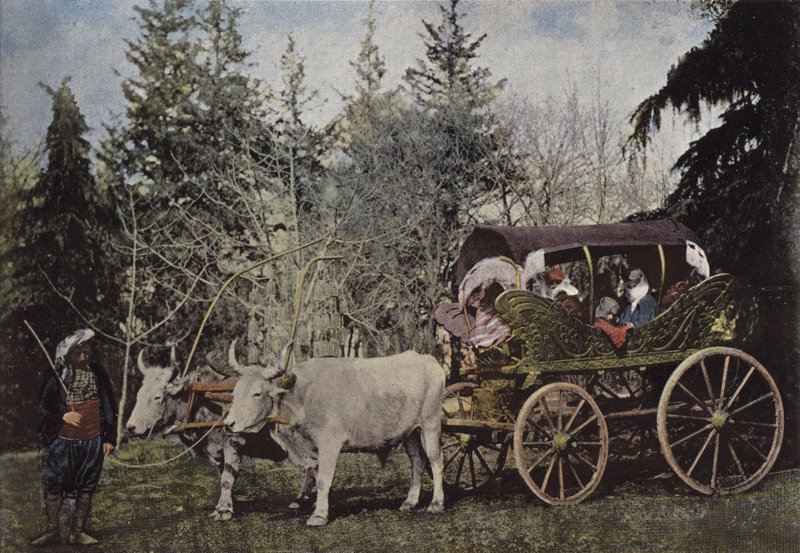 türk bayanları arabaya binmek by European Photographer