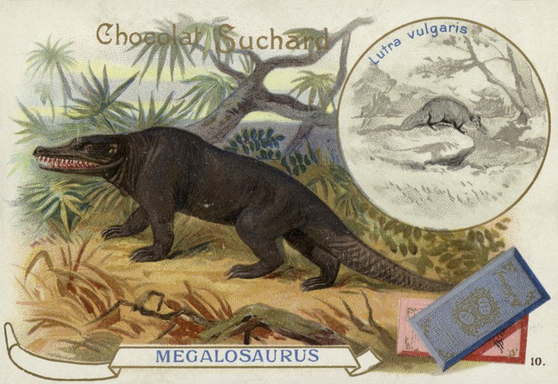 Megalosaurus ve su samuru by European School