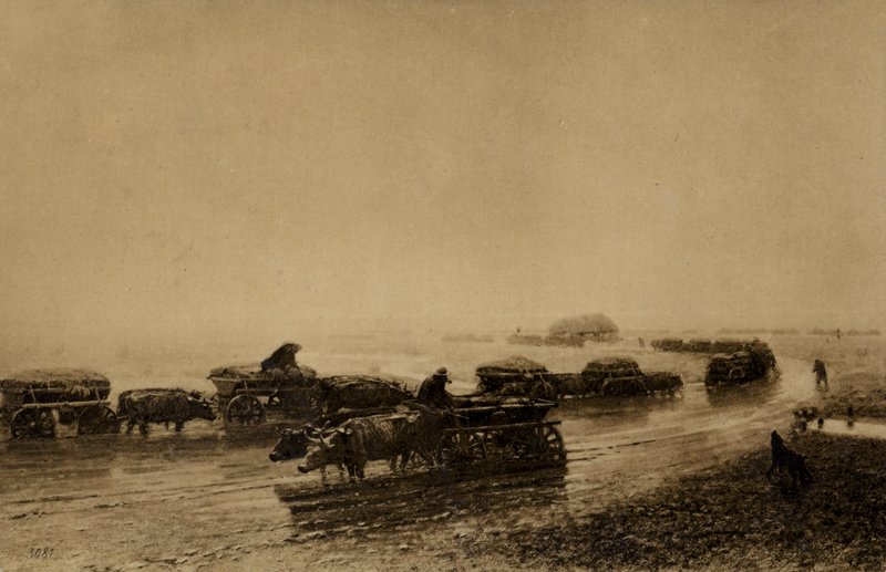 Mariupol