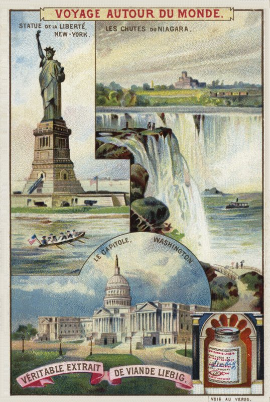 Kuzey Amerika