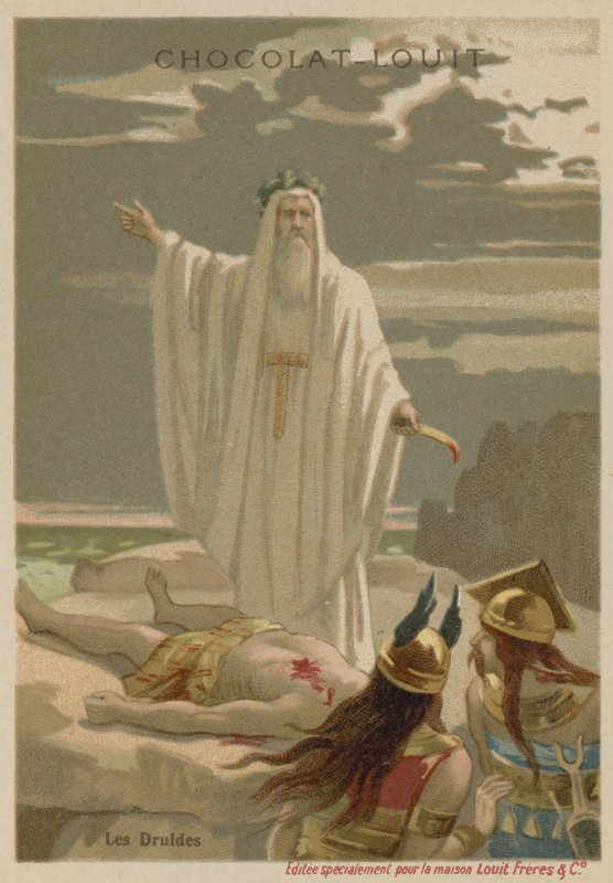 druidler by European School
