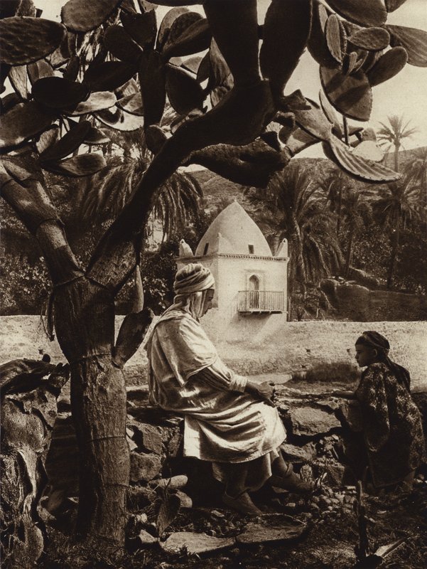 Bou-Saada Vahası, Aziz
