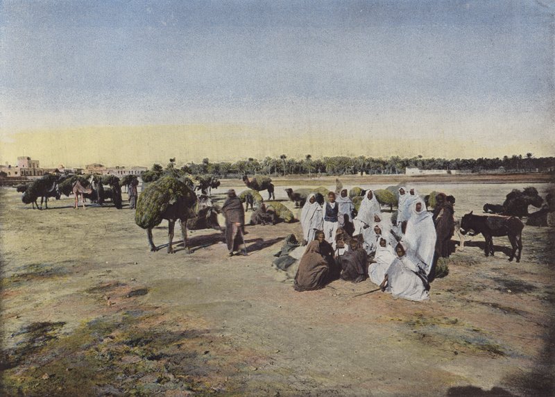 LAlfa Getiren Karavan by European Photographer