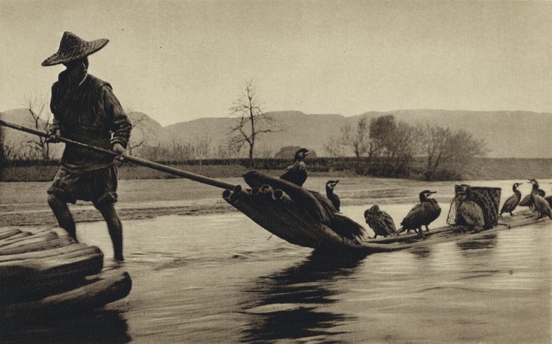 Çin, karabatak avı (s/b fotoğraf) by European Photographer