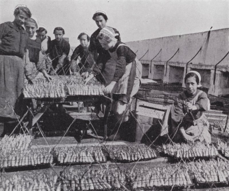 Sardalya kurutma (s/b fotoğraf) by European Photographer