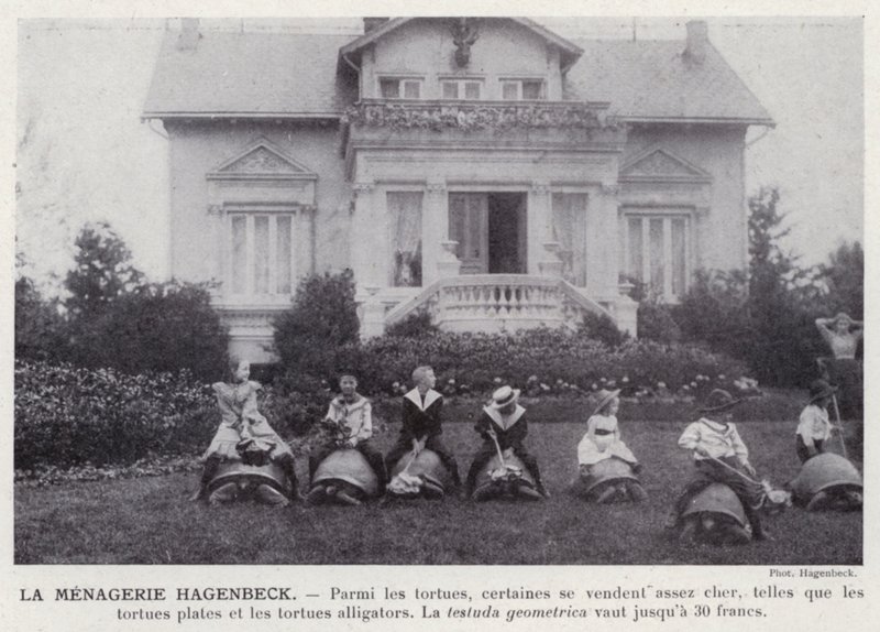 La Menagerie Hagenbeck (s/b fotoğraf) by European Photographer