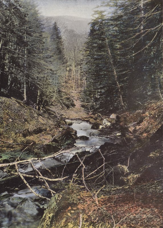 Luchon, Yukarı Vallee De La Pique by European Photographer
