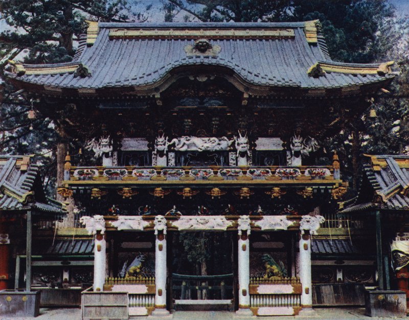 Nikko, Kitaplar, Yaşam Beklentisi-Mon, fm Whitin by European Photographer