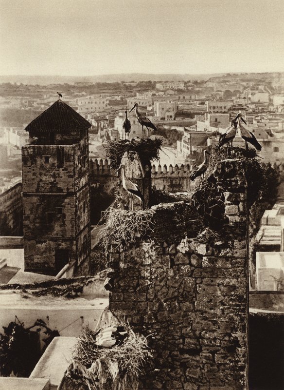 Rabat, Kasbah Oudaya