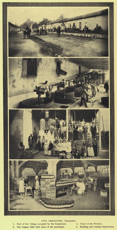 Vina Errazuriz şaraphanesi, Panquehue, Şili (s/b fotoğraf) by European Photographer