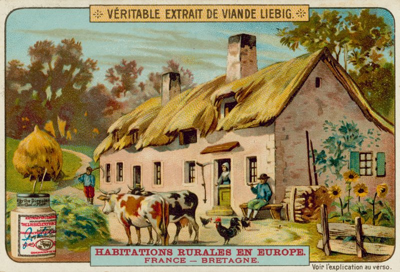 Bir Fransız Kır Evi by European School